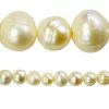 Hot Sale π Hot Sale β 12 Pack: Bead Gallery® White Pearl Potato Beads, 9mm β π 2 Hot Sale π Hot Sale β 12 Pack: Bead Gallery® White Pearl Potato Beads, 9mm β π -Bead Gallery Shop 10242622 2 r 1