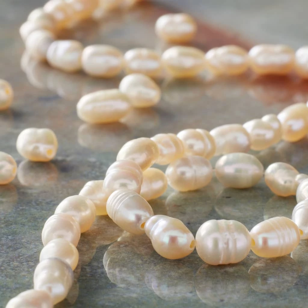 Best deal 🎉 Outlet 🥰 12 Pack: Bead Gallery® White Freshwater Pearl Beads, 3mm 😀 ⌛ 4 Best deal 🎉 Outlet 🥰 12 Pack: Bead Gallery® White Freshwater Pearl Beads, 3mm 😀 ⌛ - Image 2